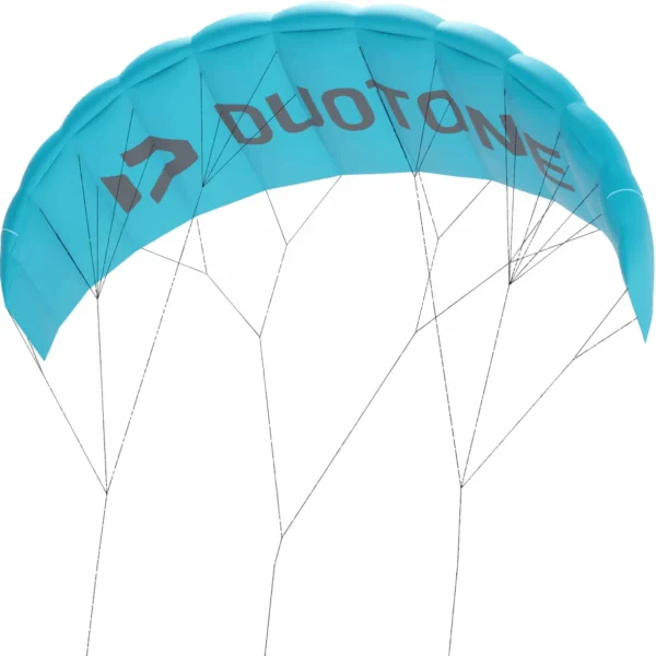 Duotone Lizard 2024 trainerkite - Afbeelding 2