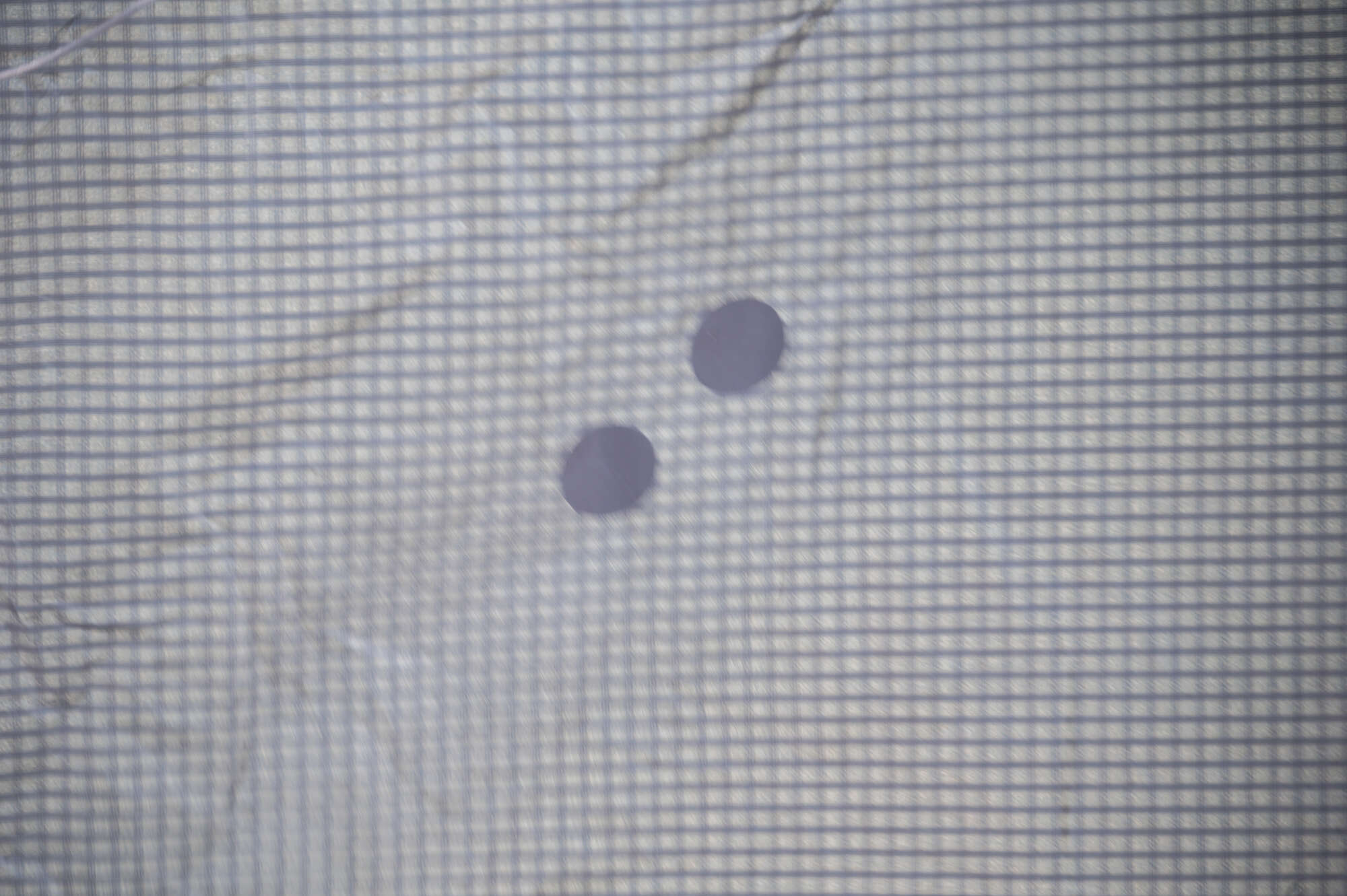 nexus_3_7_8 Core Nexus 3 7m kite (used) - Afbeelding 5